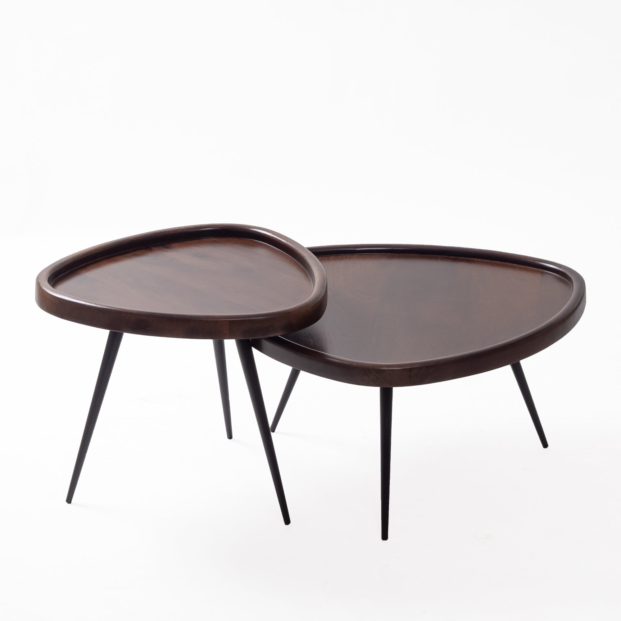 Modern Nesting Coffee Table Set of 2