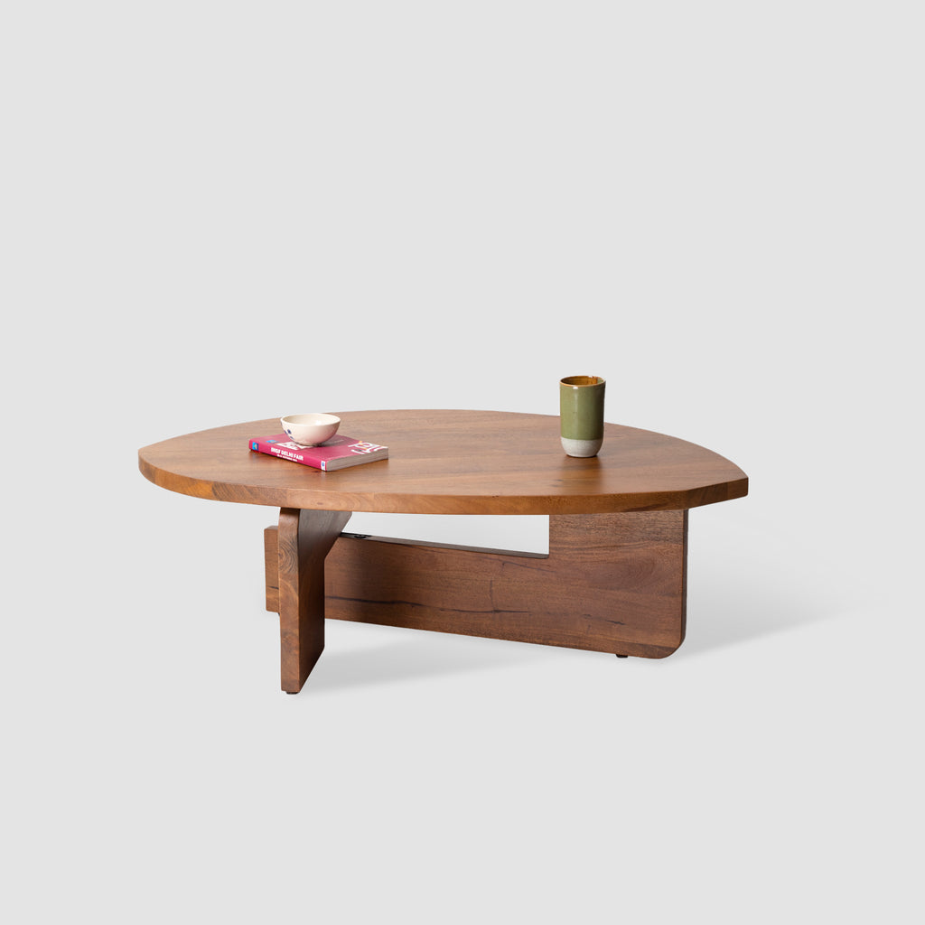 Modern Mango Wood Coffee Table