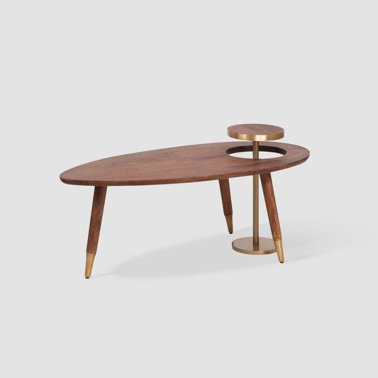 Asymmetrical Brass Accent Coffee Table
