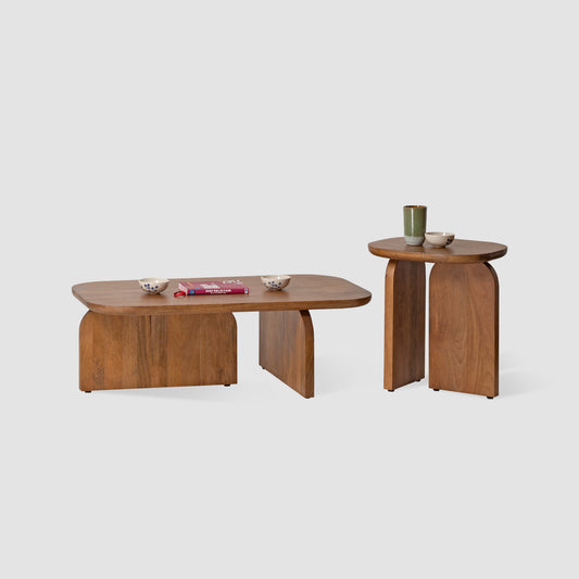 Modern Mango Wood Coffee Table Set