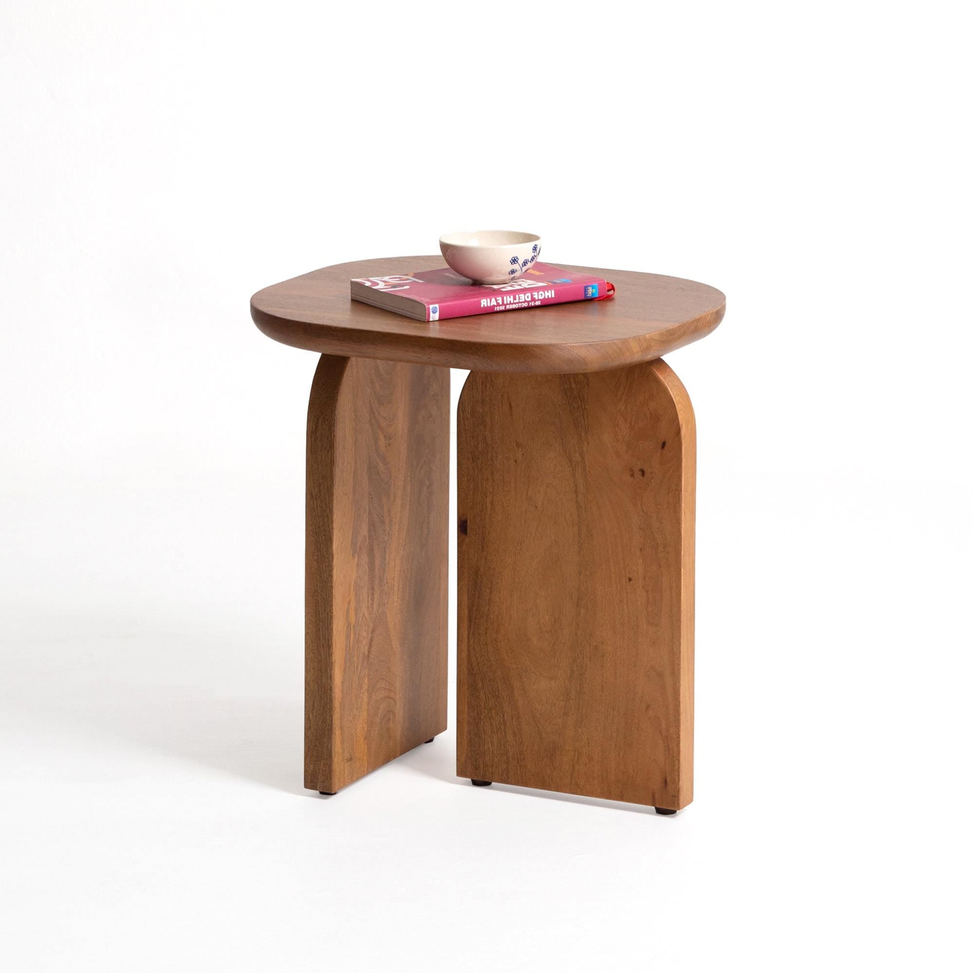 Modern Mango Wood Coffee Table Set
